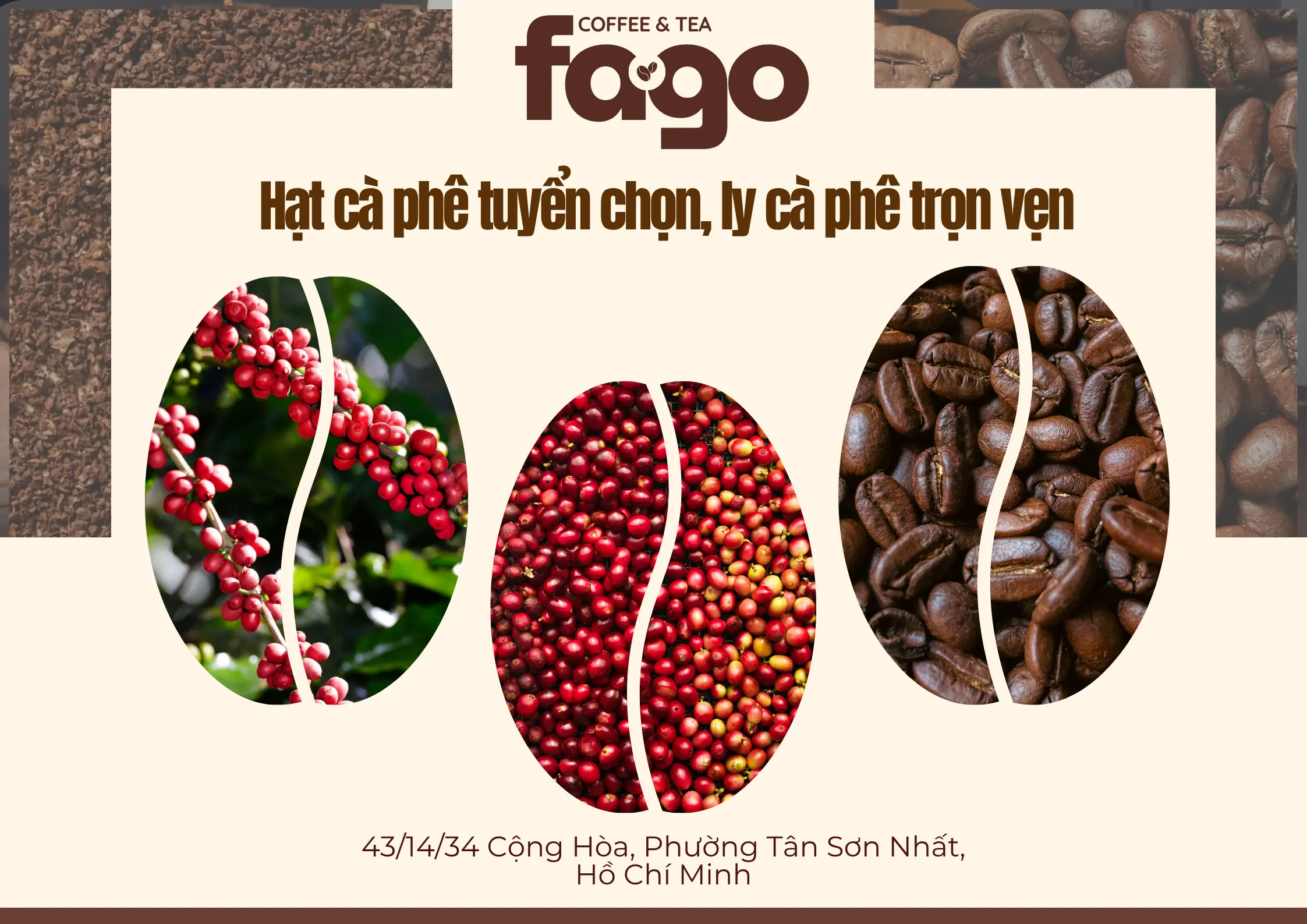 Hạt Cà Phê Tuyển Chọn – Tạo Nên Ly Cà Phê Trọn Vẹn Tại Fago Coffee & Tea